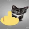 catfuckoff