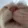 A_CatSlurp