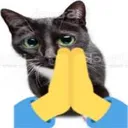 please