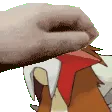 EnteiPet