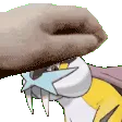 RaikouPet