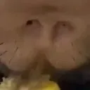 toddhogward