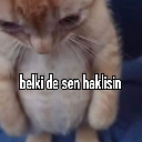 haklisin Discord emoji