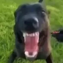 HEHEHE