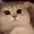 cat_smile