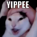 stupidfuckingyipeecat