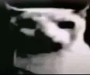Screenshot_20240701_221421_TikTo