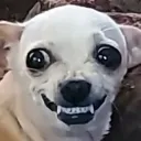 :angry: