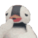 pinga_yawn Discord emoji