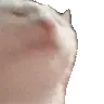 catJAMFASTER