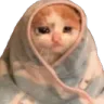 blankie_cat