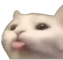 FakeNitroEmoji FakeNitroEmoji
