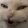 otvratitelno