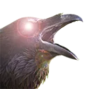 hypercrow