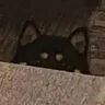 Akio_peek