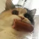 c_sosuge