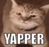 Yapper
