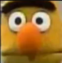 bert