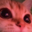 catinlove Discord Emoji | JamWith