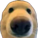 Albert2