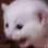 LcoKyaaaaaaaaaaaaaaaaaaaaaaaaaaa Discord emoji