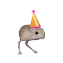 JerboaParty