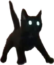 KittySpooked