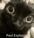 paulexplosion