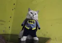 catmanbatman