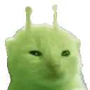 glorpcat
