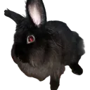 emoji_3