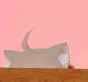 neuronPeek