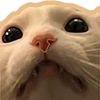GatoFrown GatoFrown