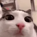 17498me