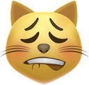 catgasm Discord emoji