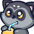 raccoonSIP