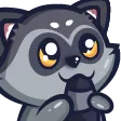 raccoonTAIL