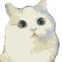 cat_Meower_scream