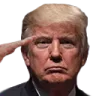 TrumpSalute