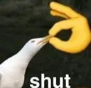 shut
