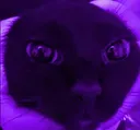 purpleWelldone