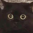 fear