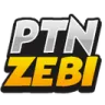 t_PtnZebi
