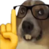 Nerddog Nerddog