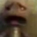 fear