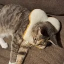 shesobread