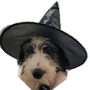 haloweenbauer_resized