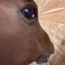 sideeye