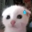 emoji_37