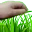 touchgrass